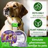 Pet Calming Button - And Dog Specific -Stress Relaxation Emotion Modifier 1mL