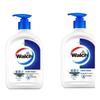 Healthy Antibacterial Hand Wash