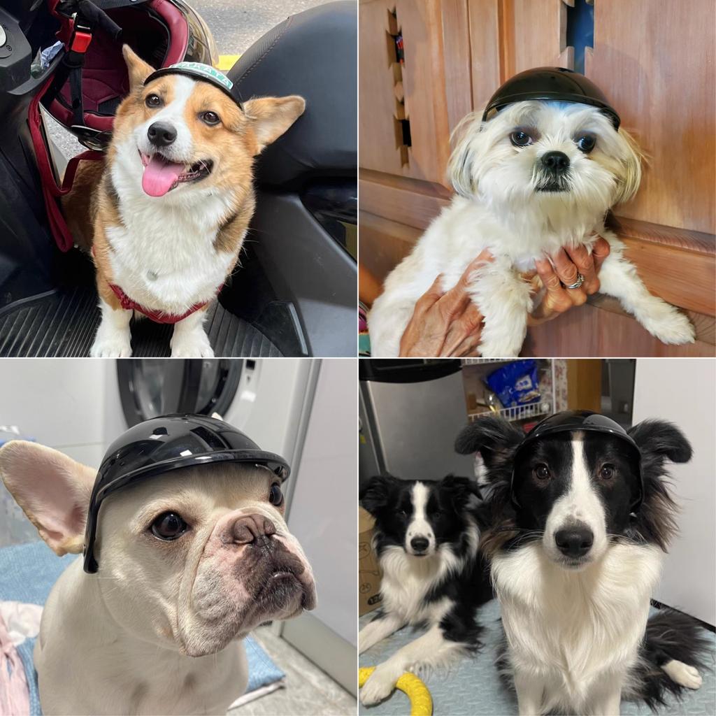 Pet Helmet for Motorcycle Safety Helmet for Dogs Cats Riding Gear Adjustable Protective Headwear