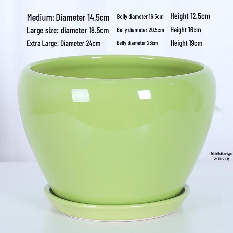 White Ceramic Orchid Pot, Large Elegant Design for Living Room