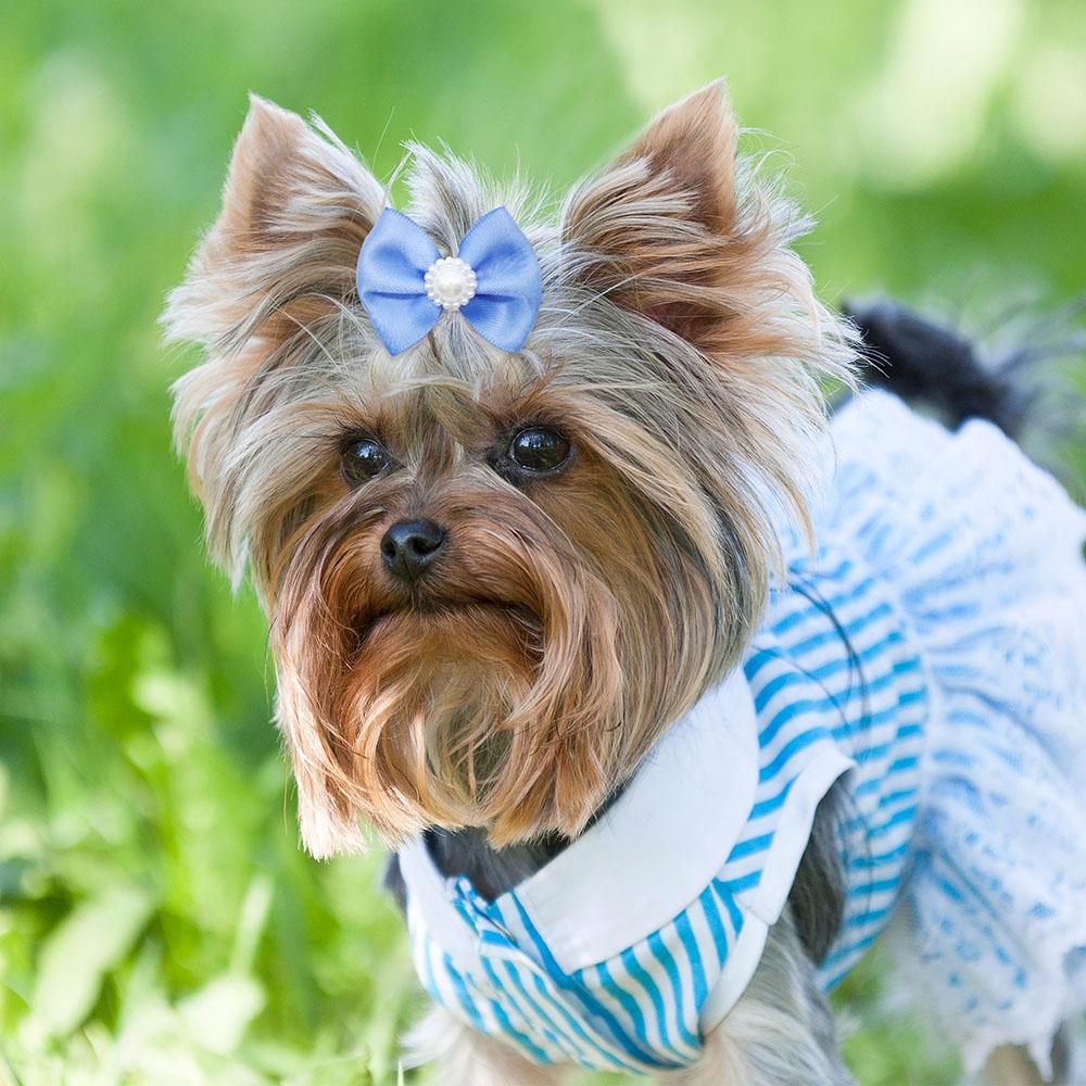 10/20PCS Blue Style Puppy Bows With Rubber Bands Handmade Dog Bows Cat Bowknots Pet Hair Accessories For Small Dogs