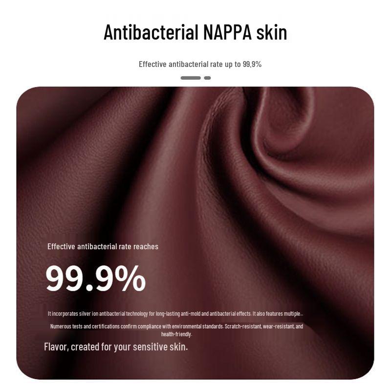 Kompatibilní s opěrkami hlavy a opěradly automobilů: Maybach, Mercedes-Benz třídy S, Tesla - Zahrnuje bederní a krční opěrky.