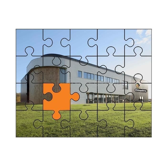 Colle et vernis pour puzzles - CLEOPATRE - Cléo’Puzzle - 250 gr - Transparent - Protection durable