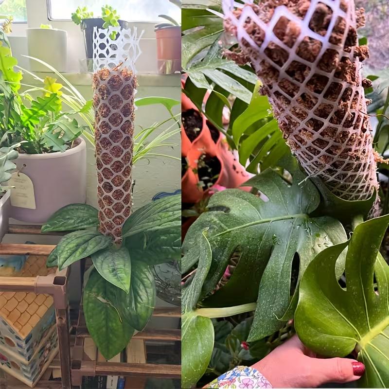 1 Set Stapelbare Plastik Moosstangen-Platten für Kletterpflanzen Langlebige Zimmerpflanzen-Stäbe Mit Netzdesign Für Ranken Blumen