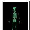 Kids Halloween Skeleton Costume For Boys And Girls Glow In The Dark Skeleton Jumpsuit Stage Performance Bodysuit Costumes