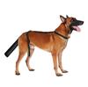 New Pet Dog Tail Protection Cover Hair Loss Treatment for Injuries Anti Licking and Bite Adjustable Protective Gear Pet Supplies
