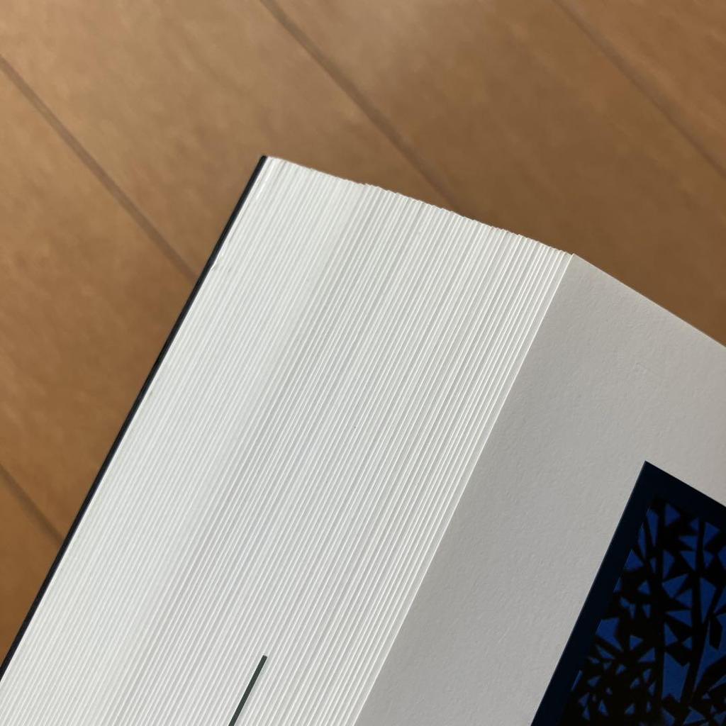 [USED] Seiji Fujishiro World of Shadow Pictures Exhibition 1999