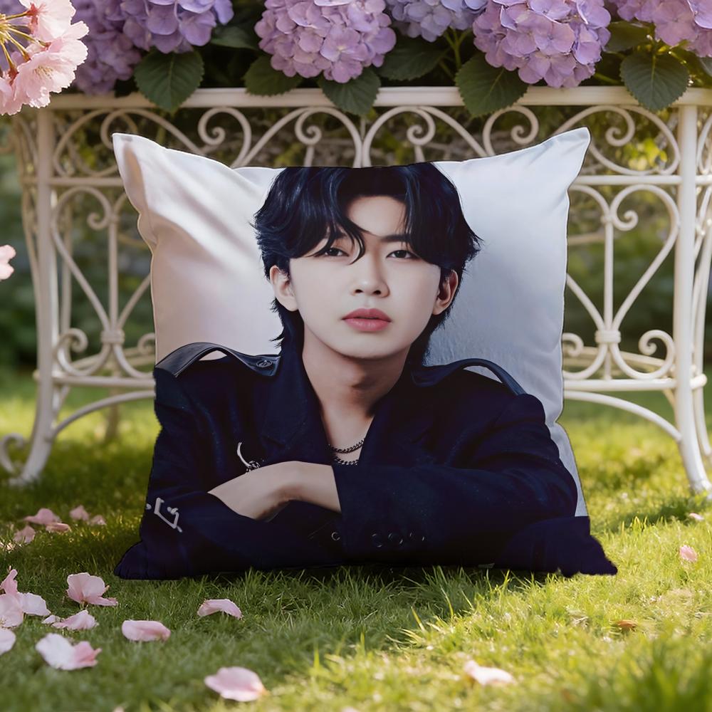 L-Lim Young W-Woong Cushion Cover Home & Car Dual-Scene Pillow Cover: Reversible for Premium Comfort