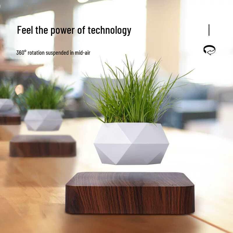 Magnetic Levitation Plant Pot Ornament - Creative Desktop Gift for Girlfriend or Best Friend