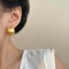 Niche Metal Brushed Section Semicircular Earrings Temperament Trendy Personality Geometric Design Sense Stud Earrings Women