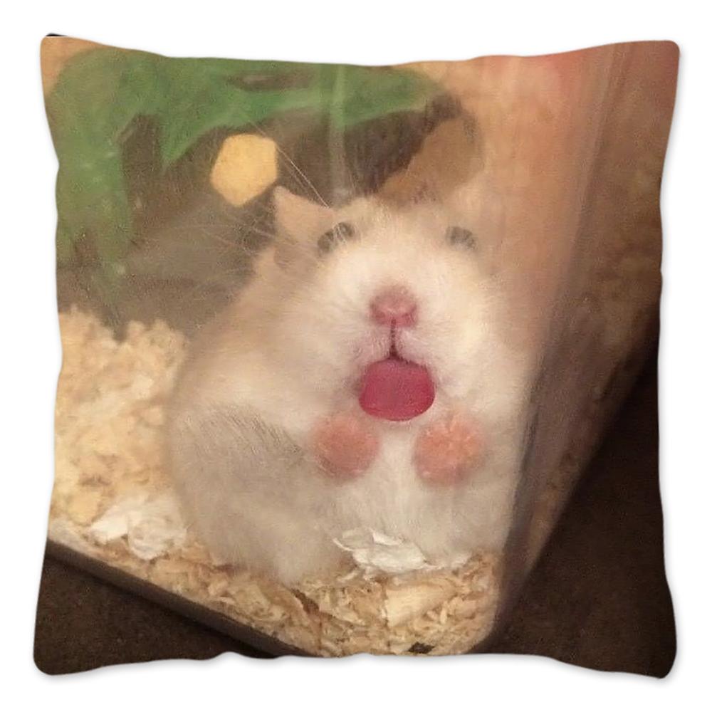 Funny Hamster Meme Pillow Cover Home Decor Polyester Cushion Cover for Sofa Car Cute Pillow Case Cojines Decorativos Para Sofá