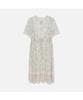 THURSDAY ISLAND Flower Border Frill Dress_T254Mop345W