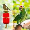 Hand Twisted Bird Call Trainer Realistic Bird Caller Creative Sound Maker  Outdoor Play