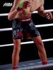 MMA Cross-border Fight & Training Shorts: UFC, Brazilian Jiu-Jitsu, Sanda, Fitness Pants