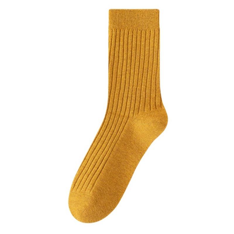 5 Pairs of Women's Spring and Autumn Style New Cylinder Pure Cotton Pile Socks