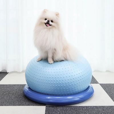 Dingdongpet pet tantan denge jimnastik topu, mavi, 1 parça