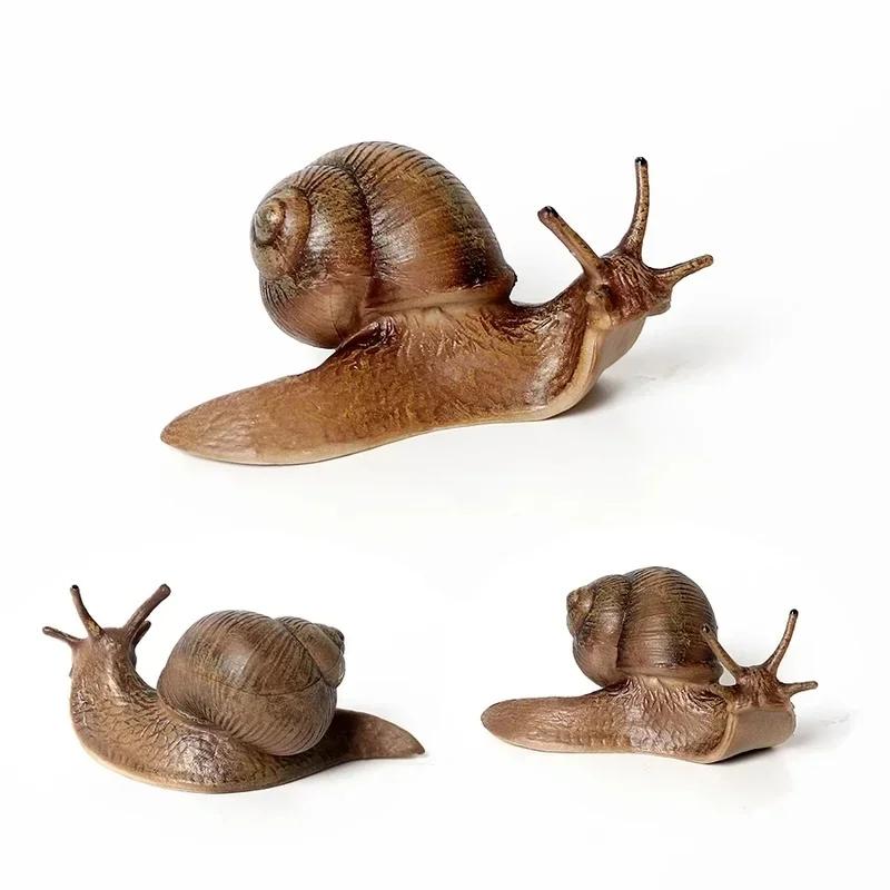 Realistic Snail Growth Cycle Model Animal Model Snail Life Cycle Model Miniature Garden Decoration Collector Educational Toy