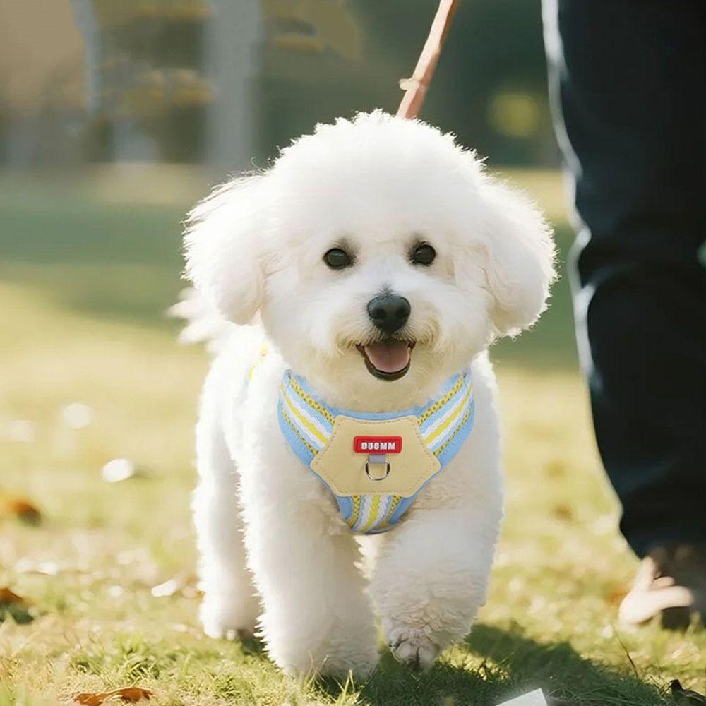 Soft Dog Harness Quicklace Pet Walking Vest Sturdy Pet Chest Strap  for Dogs Cats