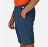 Regatta Highton Long Shorts