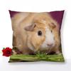 Guinea Pig Zipper Pillowcase Home Decor Satin Square  Bedroom