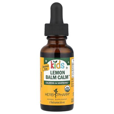 Dziecięcy melisa na uspokojenie, bezalkoholowy ekstrakt płynny, 1 fl oz (30 ml)