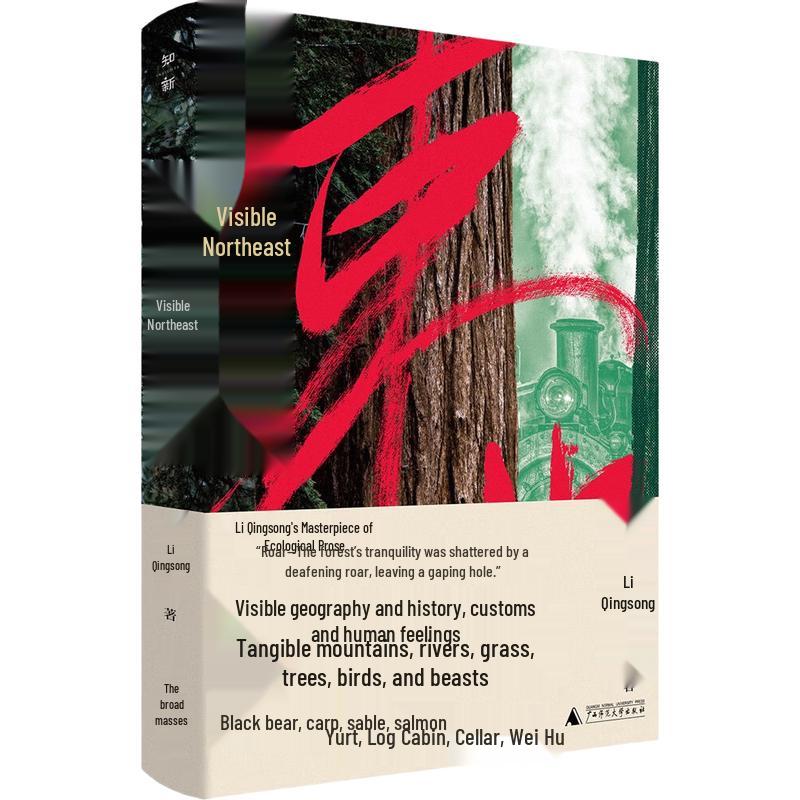 Visible Northeast Book