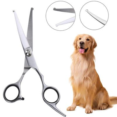 Köpek – Köpek bakım ürünleri