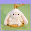 Plush Rabbit Keychain With Heart Pendant Design For Backpack Decor And Collectible Gift