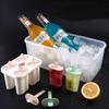 Changbaosen Popsicle & Ice Cream Mold Set with 2.2L Storage Box