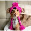 New Pet Headgear Autumn and Winter Hairball Warm and Antifreeze Wind Fluffy Ball Knitted French Bucket Large and Small Dog Knitted Hat
