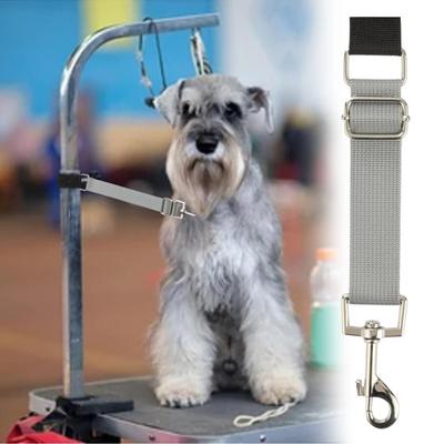 Correa de extensión de brazo para cuidado de mascotas, correa ajustable de liberación rápida para cuidado de perros, extensión de bucle de cuidado