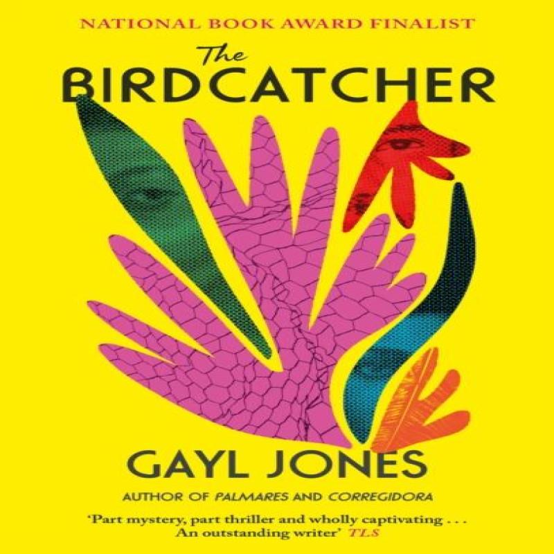 The Birdcatcher by Gayl Jones Paperback Book 9780349016863