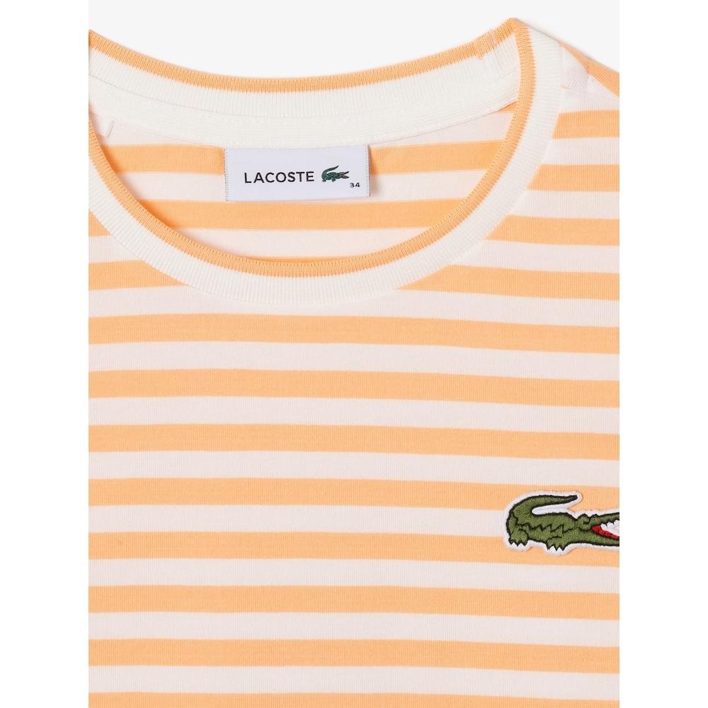 LacoSTe Women S STriped Long Sleeve T ShirT Tf921e 54g Ixy q2nTf921e 54gIxy