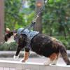 Adjustable Large Cats Vest Harness for Small Cats No Pull Design with Leash Breathable Vest Bright Color