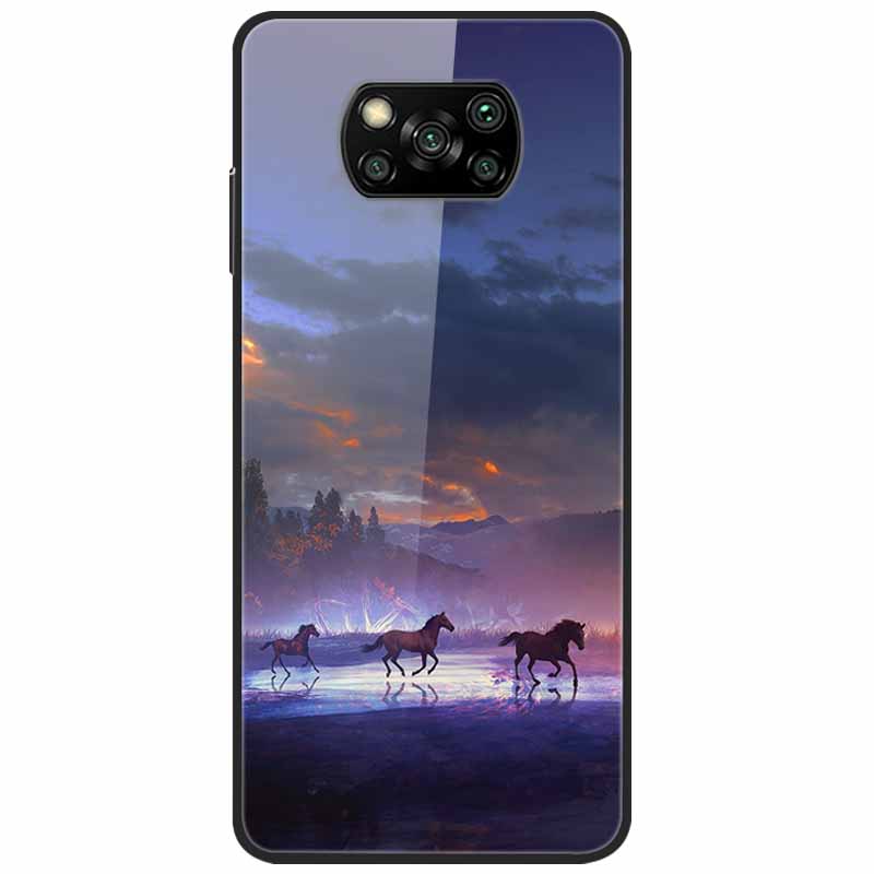 Etui na Poco X3 Pro Modne Urocze Szkło Hartowane Luksusowe Pokrowce Coque dla Xiaomi Poco X3 NFC Etui PocoX3 X 3 Zderzak Ochronny
