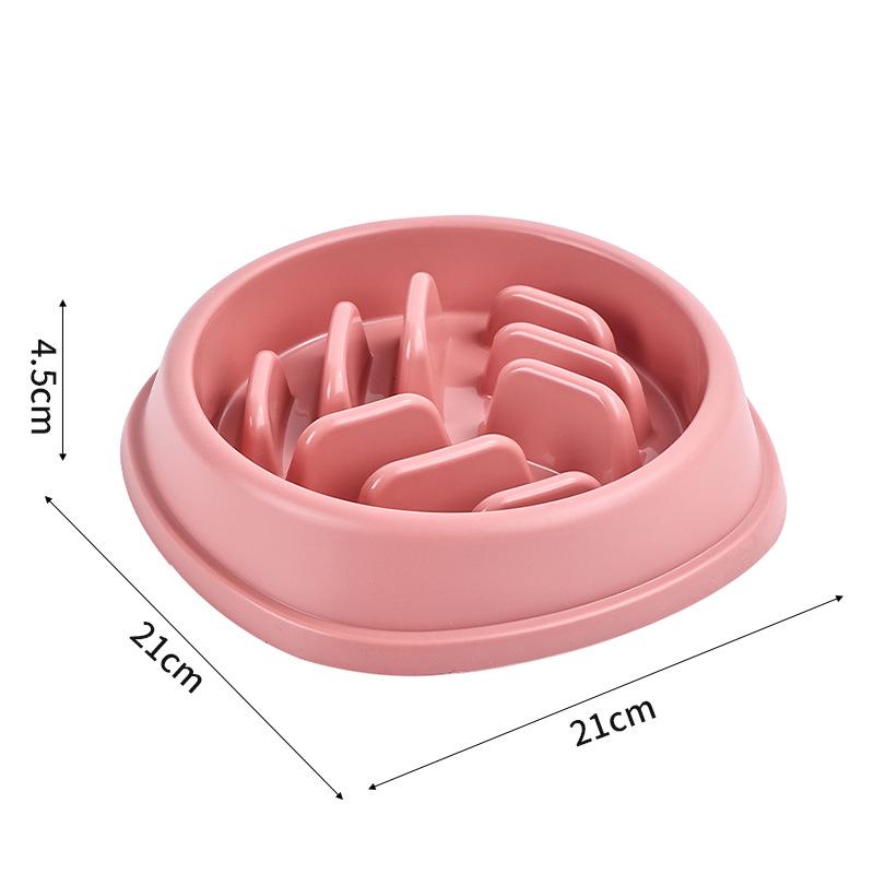 Anti-Choking Non-Slip Slow Feeder Bowl for Cats & Dogs