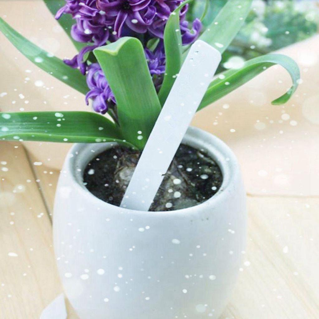 100 szt. Plastikowe Etykiety Doniczka Szkółka Ogród Paliki Znaczniki 10cm x 2cm