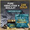 SESA Shilajit Gold Resin 20g For Men With 24k Gold Fulvic Acid 60%+ Boosts Energy Immunity Muscle Recovery Joint Support