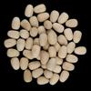 50 Pieces Unpainted Wooden Eggs 16x12mm – For Easter, Crafts, and Displays Easter eggs, charming