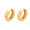 Retro Micro-Paved Diamond Star Titanium Hoop Earrings, Electroplated 18K Gold.