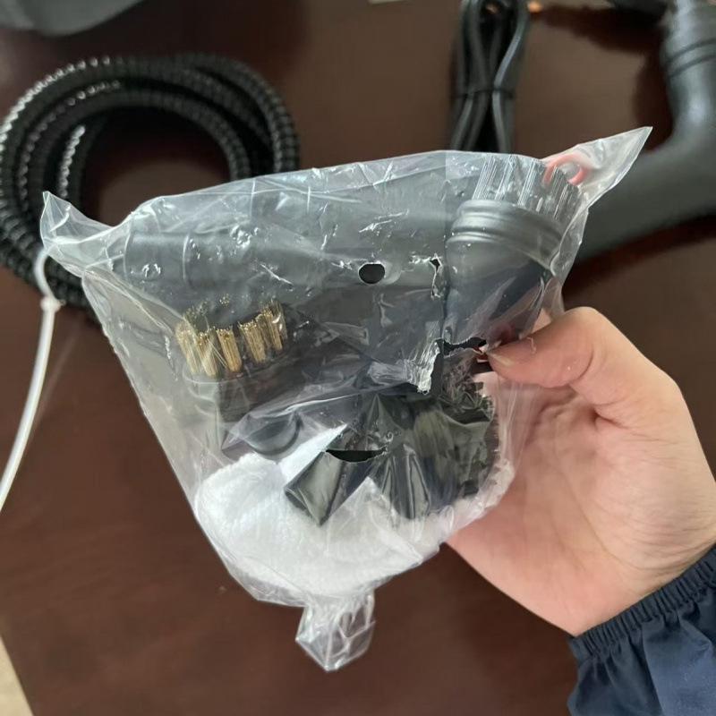 European Standard 220V High-Temp, High-Pressure Steam Cleaner