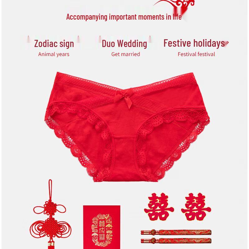 LangSha Women's Sexy Cotton Low-Rise Briefs - 4 Pack