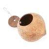 Coconut Shell Coconut Shell Birdhouse Round Entrance 6cm Sanded Finish Pet Hideaway Enclosed Design 12cm Shell Diameter