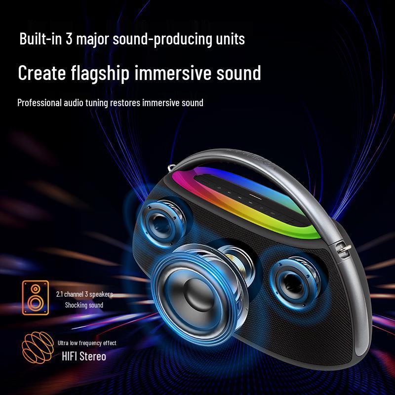 Skyworth C919 Outdoor Portable Karaoke Speaker (CN version)