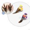 12 Pcs Birds Figurines Artificial Foam feather type bird for crafts Decoration home and garden