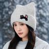 Female Autumn and Winter Cute Cat Embroidered Wool Hat Autumn and Winter Windproof Warm Ear Protection Hat