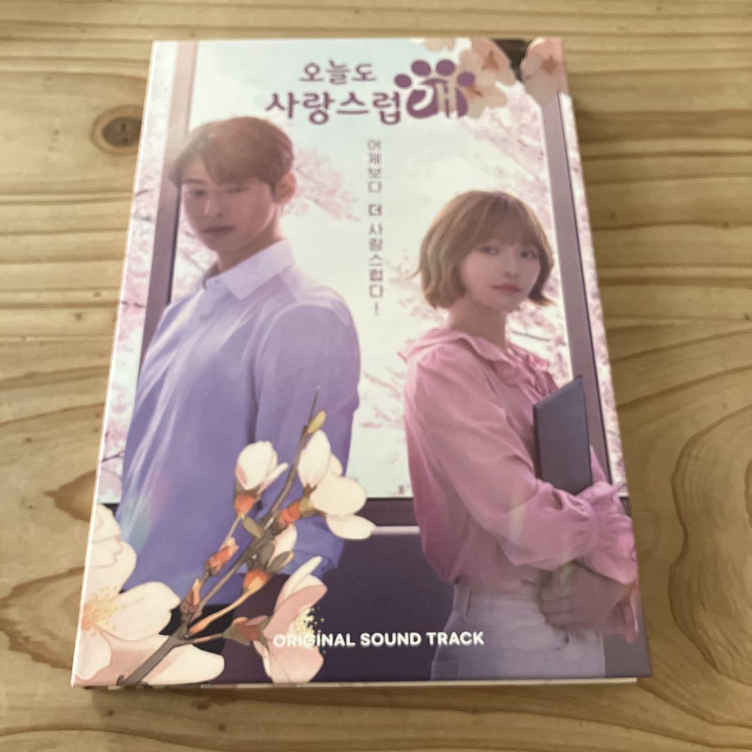

[USED] Wonderful Days Korean Drama OST