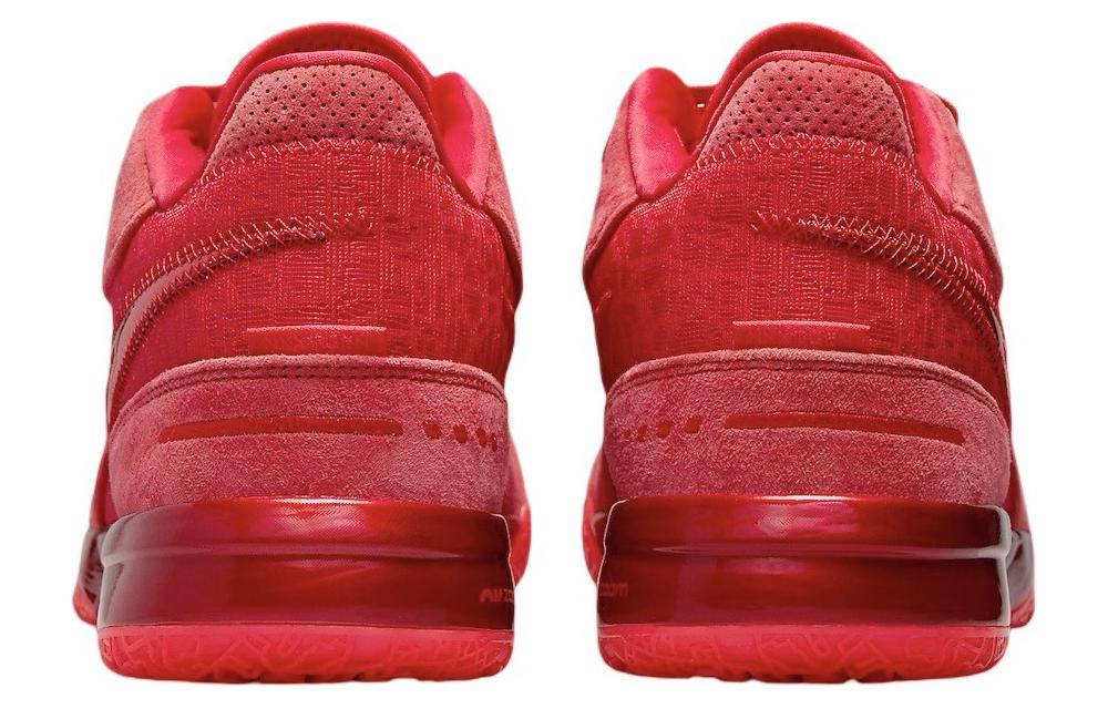 Nike Zoom LeBron Nxxt Gen Ampd 'James Gang' FJ1566-600
