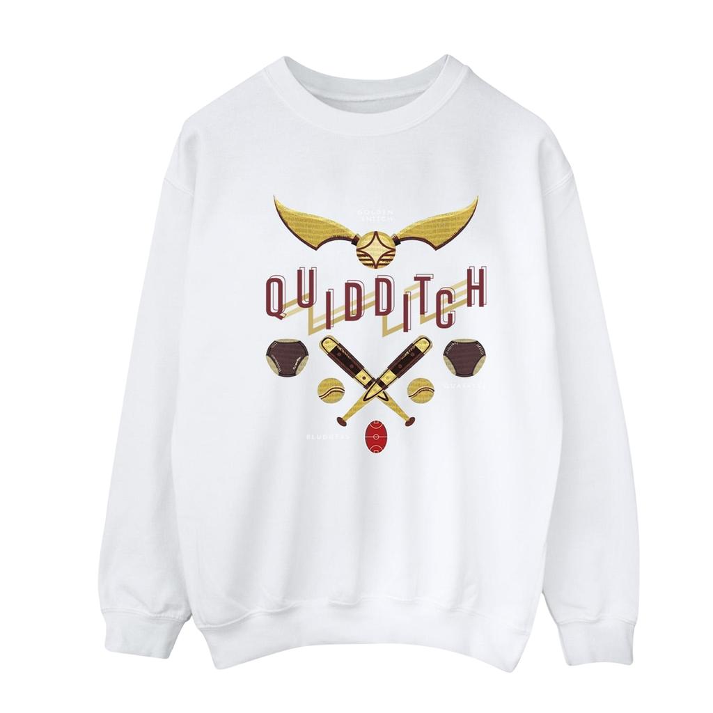 Harry Potter Mens Quidditch Golden Snitch Sweatshirt