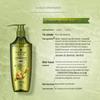 Schwarzkopf Ginger Scalp Purifying Oil Control Shampoo